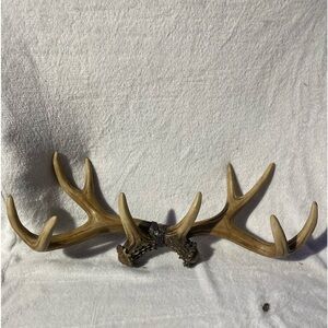 Deer antler wall decoration